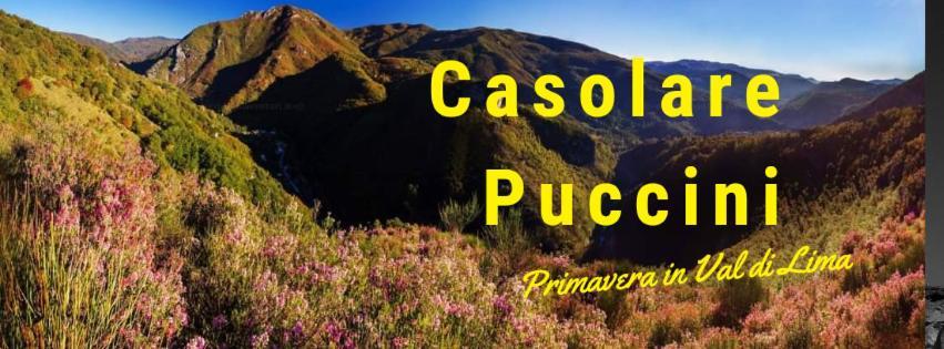 Casolare Puccini Apartment Bagni di Lucca Bagian luar foto