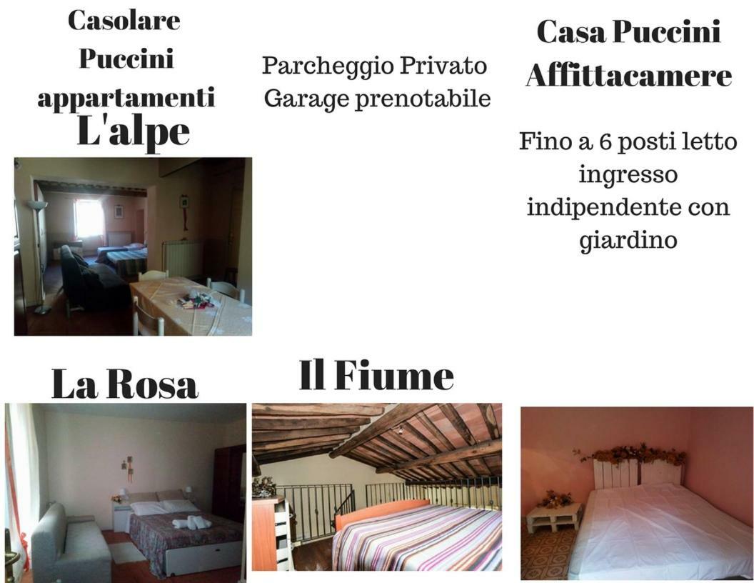 Casolare Puccini Apartment Bagni di Lucca Bagian luar foto